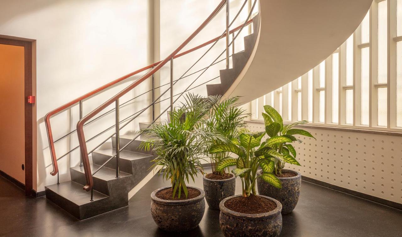 Ceuta Terrace Suites Porto Eksteriør bilde